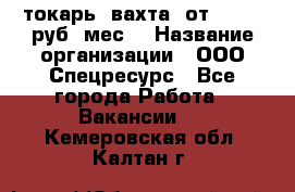 токарь. вахта. от 50 000 руб./мес. › Название организации ­ ООО Спецресурс - Все города Работа » Вакансии   . Кемеровская обл.,Калтан г.